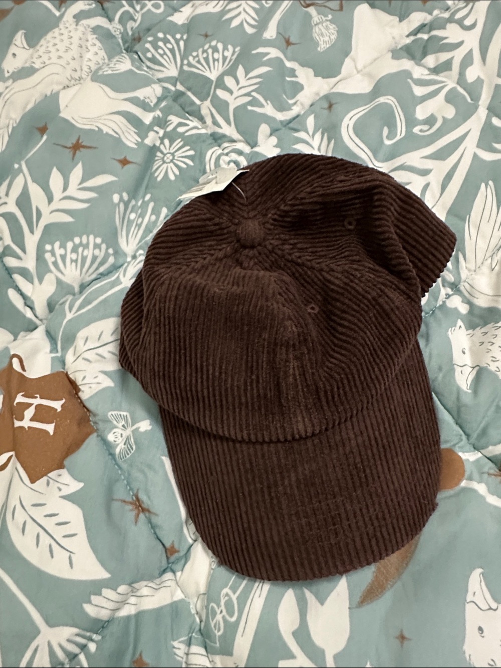 Women’s Corduroy Baseball Cap in Chocolate Brown